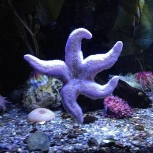 Meet your Posher, Kelley